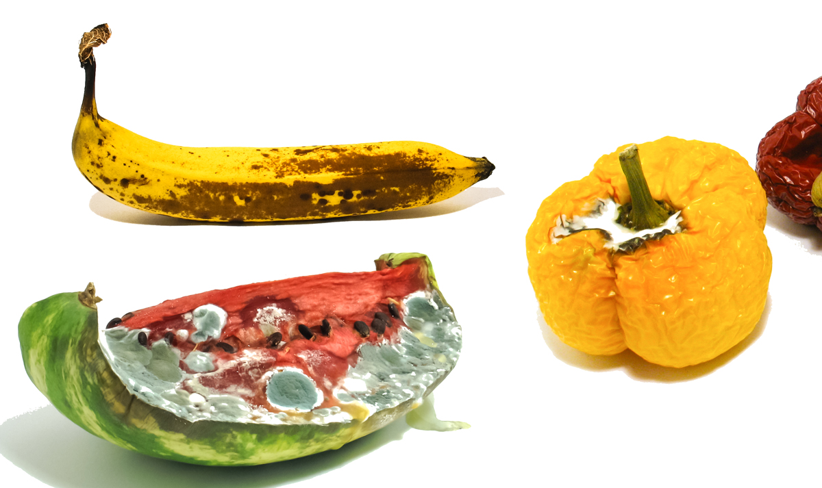 HD Kollektion »Gammel Obst« Videos