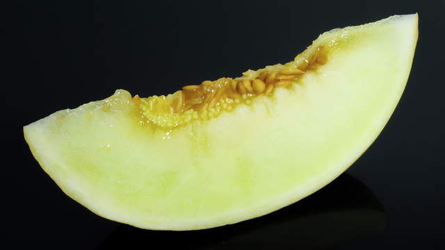 Honig Melone