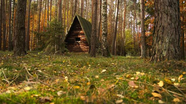 Waldhütte im Herbst Zeitraffer 4K/Ultra HD - NEU