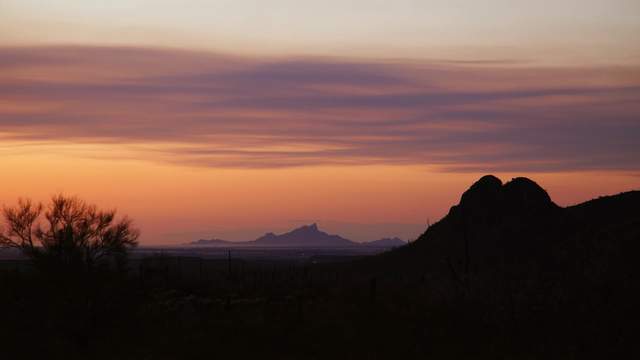 Saguaro National Park