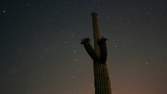 Zeitraffer - Saguaro National Park