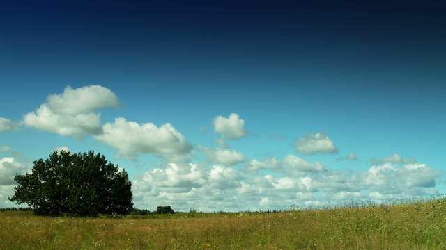 Sommerwolken ziehen durch natürliche Landschaft – Kameraschwenk