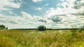 Zeitraffer - Sommerwolken schweben in natürlicher Landschaft auf die Kamera zu – Kameraschwenk in den Himmel