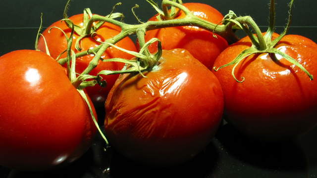 Tomaten