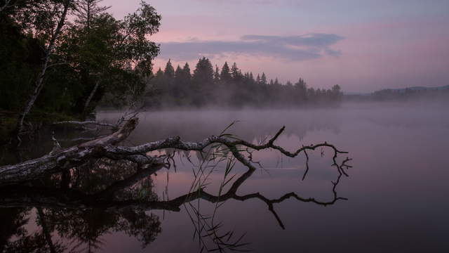 Sonnenaufgang am See