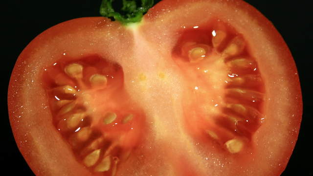 Gammel-Zeitraffer Tomate