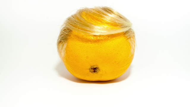Vergammelnde Orange mit Haaren