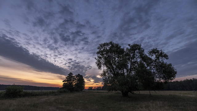 Sonnenaufgang in der Prignitz