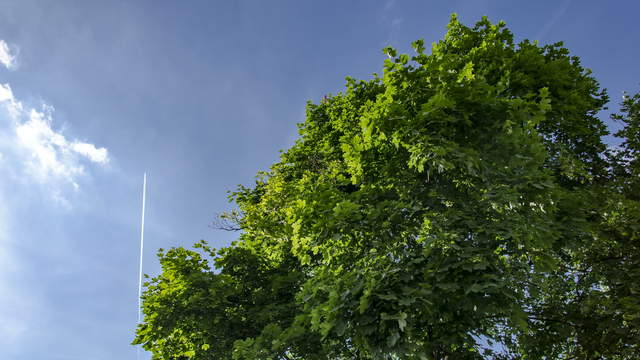 Düsseldorf -  Hyperlapse vom Rheinturm