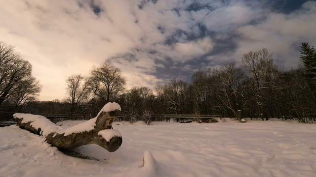 Isarflaucher im Winter