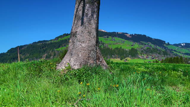 Hohe Salve, Österreich