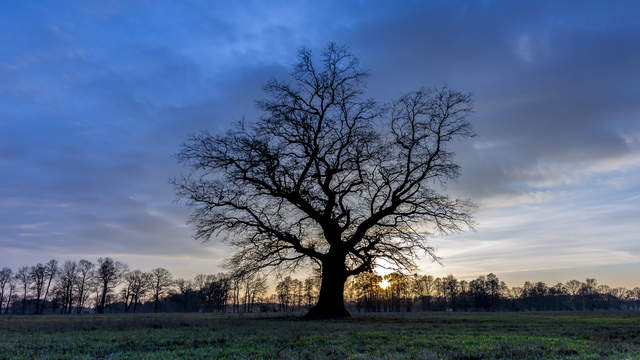 Farbenfroher Sonnenuntergang