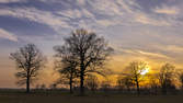 Zeitraffer - Sonnenuntergang in der Prignitz