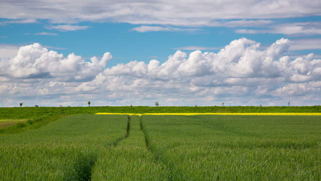 Feld mit Wolken