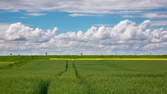 Zeitraffer - Feld mit Wolken