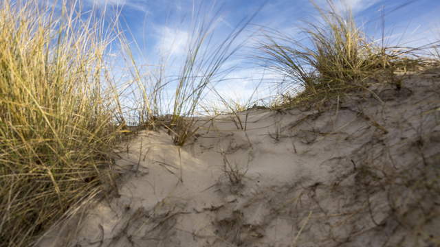 Ostsee mit Düne