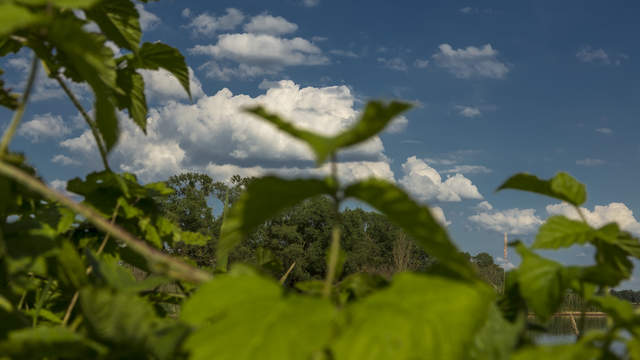 Wolken an der Elbe