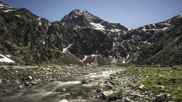 Schafe bei der Sulzenaualm, Tirol