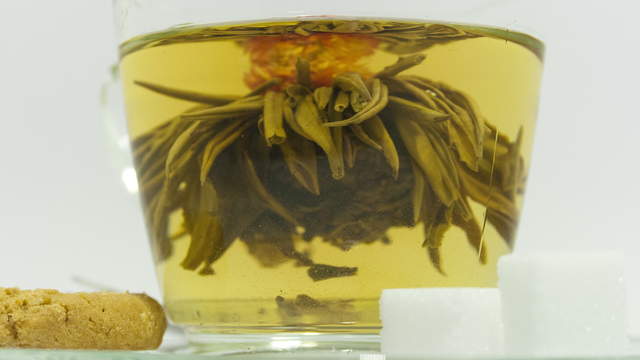 Tee Blüte Seitenansicht