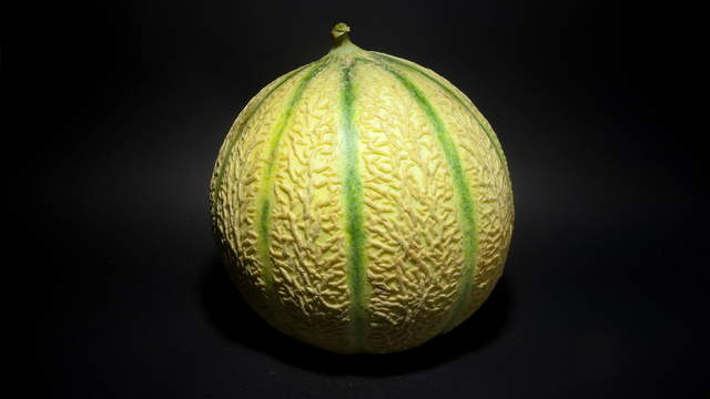 Charentais Melone