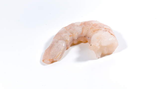 Ameisen fressen Shrimp