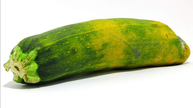 Zucchini Makro