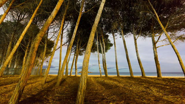 Strand bei Nacht