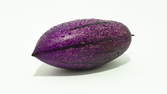 Zeitraffer - Pepino Melone