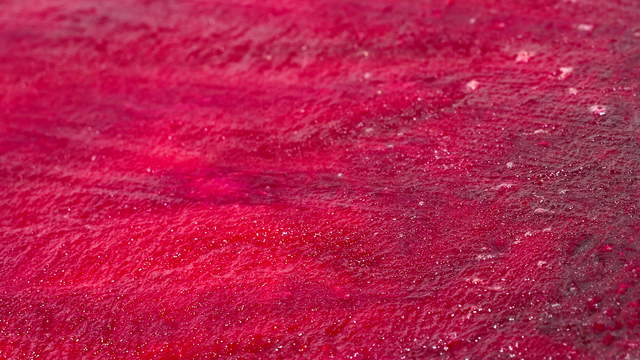 Rote Beete Makro