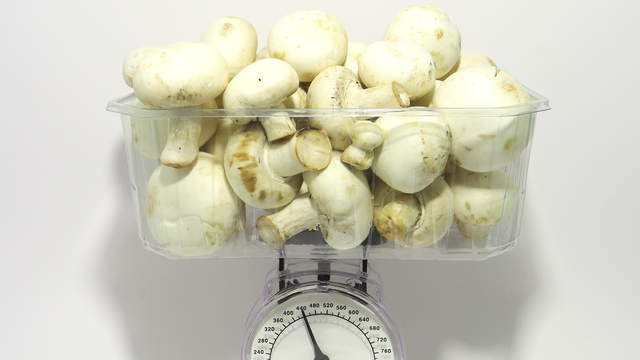 Champignons Waage